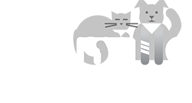 Bernville Veterinary Pet Spa & Resort